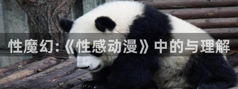 acg动漫下载：性魔幻:《性感动漫》中的与理解