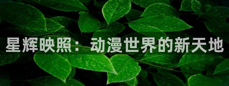 日本acg动漫：星辉映照：动漫世界的新天地