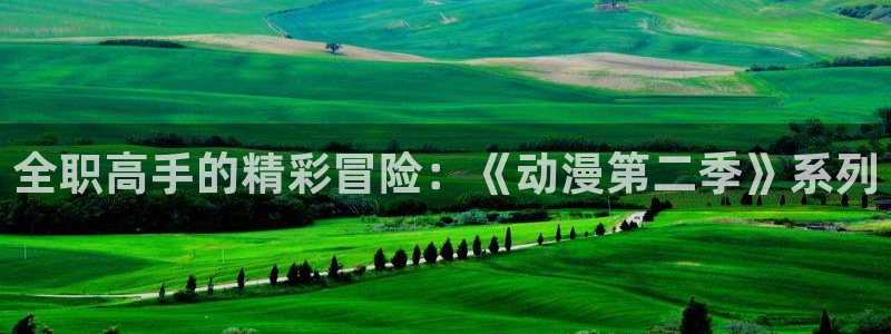 acg动漫君：全职高手的精彩冒险：《动漫第二季》系列