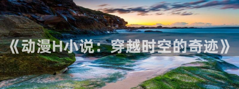 里番acg动漫网：《动漫H小说：穿越时空的奇迹》