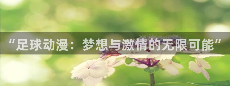 acg动漫网下载：“足球动漫：梦想与激情的无限可能”